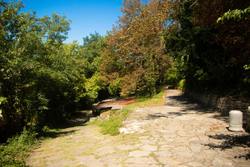 path in the park