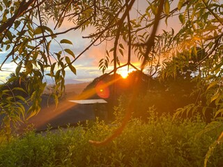 red  (Taylor's version) 