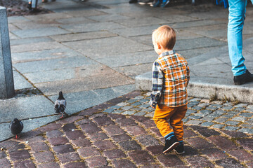 Młody chłopczyk goniący gołębia. - obrazy, fototapety, plakaty