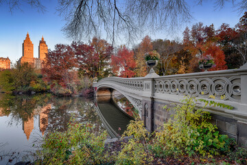 Fall over Bow Bridge in Central Park (Another view)