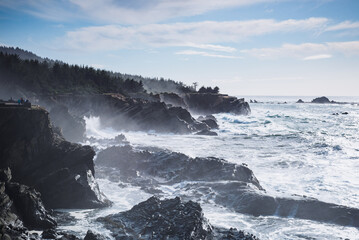 Pine trees, waves and sandstone cliff at Shore Acre State park
