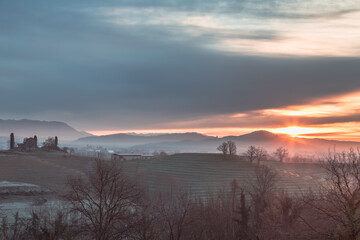 Obraz premium Cold misty morning in the vineyards of Italy