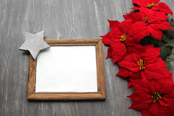 Sparkling stars as decorated frame for Christmas messages with poinsettia flowers and pinwheels
