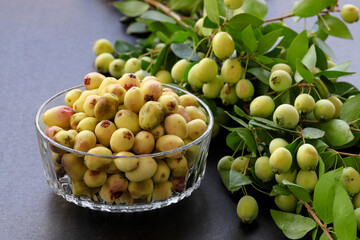 Myrtle berries and myrtle plant in glass bowl on gray background