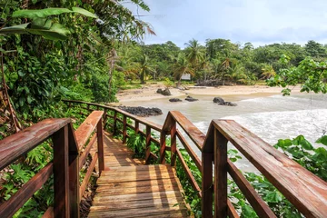 Poster de jardin Descente vers la plage Plage de grenouille rouge, Bocas del Toro, Panama