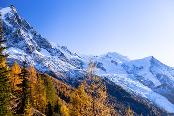 Evergreen trees on background of scenic snowy mountains. Mont Blanc mountain range, Chamonix-Mont-Blanc, France, 2021.Snowcapped mountains and fall trees. Mont Blanc mountain range, Chamonix.