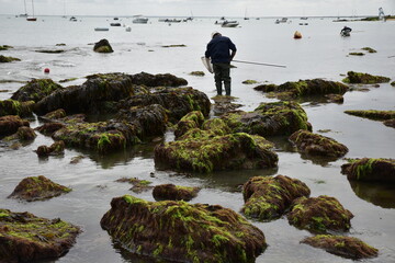 Pêche à la crevette