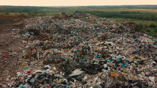 Birds flying above city dump site, aerial drone view, pollution problem. Trash dump, landfill, large garbage pile, plastic waste from household, green forest and fields in background