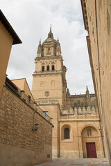 Fototapeta na wymiar Salamanca Cathedral Church Tower