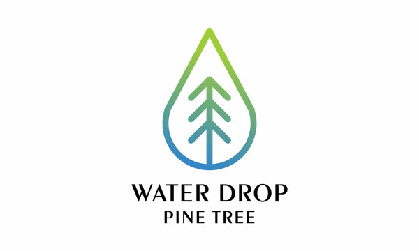 pine with water droplet vector logo design vector template on a white background.