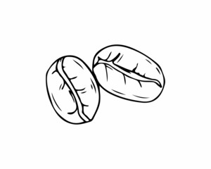 coffee beans in the style of vector graphics, sketch. coffee beans icon, logo. Vector illustration