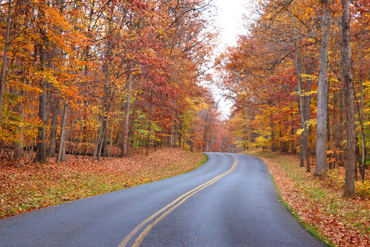 Sunday Morning Drive Through The Park