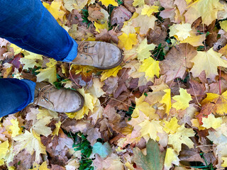 pisando hojas secas caidas sobre la hierba otoño IMG_4791-as21