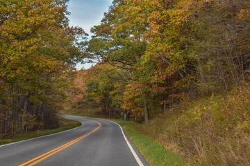 Obraz premium Shenandoah National Park, Virginia, USA - November 3, 2021: Skyline Drive, a Winding Country Road Traveling Through Beautiful Fall Foliage