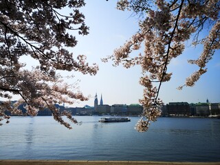 Hamburg Alster boat