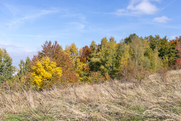 Autumn view of Vitosha Mountain, Bulgaria