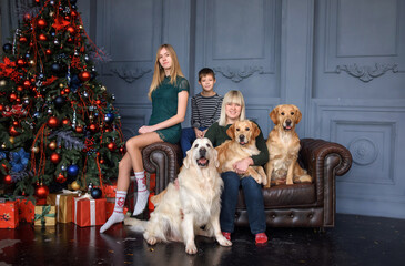 beautiful family mom daughter and son are sitting on the sofa in the living room near the new year tree with three golden retriever dogs. Christmas and New Year