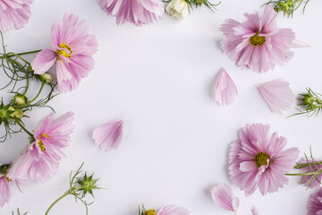 Fresh pink flowers on white background. Natural beauty product. Flat lay, top view, copy space. Flowers composition. Spring, summer concept.