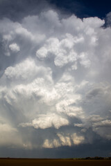 Convective Clouds