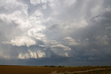 Convective Clouds