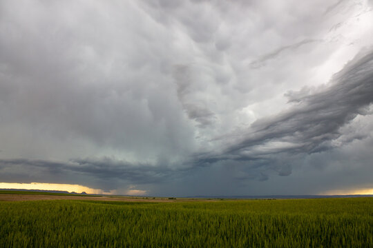Severe Storms © NZP Chasers