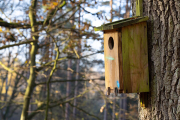 Wooden birdhouse on the tree.