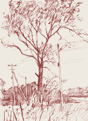 Hand drawing of country village landscape with old tree and power line