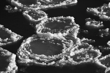 Frazil pancake ice in river closeup monochrome - 470349603