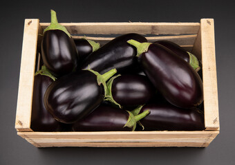 fresh eggplant