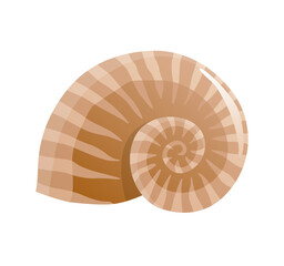 Sea shell. Colorful tropical shell underwater icon. Cartoon marine life. Seashell summer symbol concept