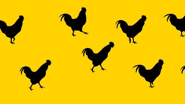 Walking roosters, animation on the yellow background