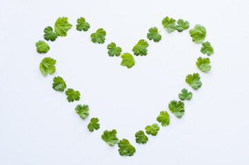 a heart made of small green leaves on a white background