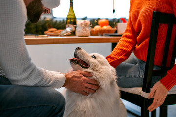 Merry Christmas and Happy New Year! White fluffy purebred dog sitting near the festive table in the...