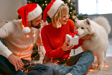 Merry Christmas and Happy New Year! Happy couple with dog  is waiting for the New Year together in Santa Claus hats while sitting near beautiful Christmas tree at home.