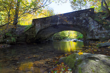 old bridge over the river