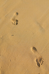 Footprint in the sandy beach 