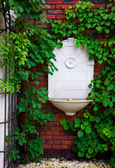 fontanna w ceglanej ścianie i zielone pnącza, fountain in a brick wall and green climber, vines...