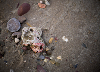 Beach pebbles, colourful rocks 