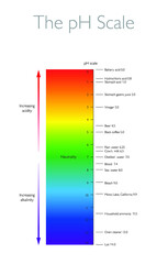 The pH Scale - Biology Chemistry Education