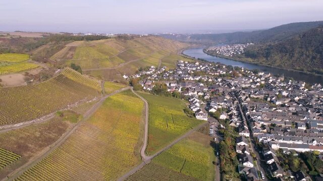 drone aerial footage wineyard plants village winningen Famous German Wine Region Moselle River with highway bridge A61