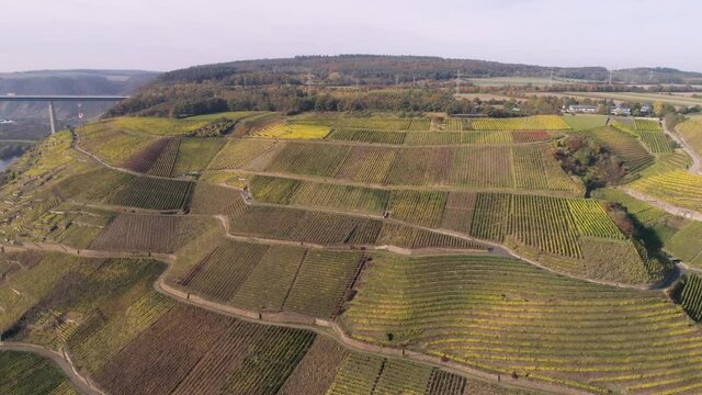 drone aerial footage wineyard plants village winningen Famous German Wine Region Moselle River with highway bridge A61