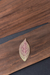spindle wood leaf on wood veneer 