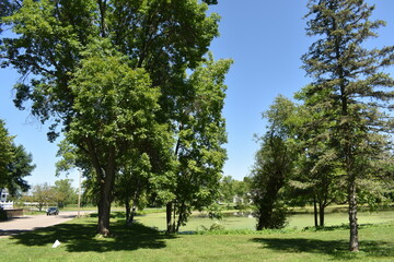 The Lovely Hemenway Park in New Richmond, Wisconsin