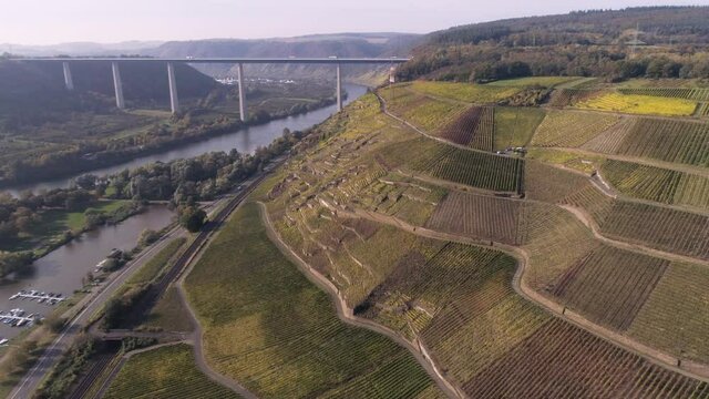 drone aerial footage wineyard plants village winningen Famous German Wine Region Moselle River with highway bridge A61