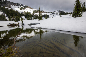 Obraz na płótnie Canvas Tipsoo Lake covered by snow at Mount Rainier National Park in Washington State during Spring.