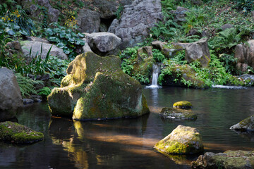 静寂な日本庭園、苔むした石と池に流れ落ちる小さな滝