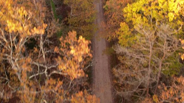 Vue Drone sur un chemin Forestier au coucher du soleil avec mouvement de cam&eacute;ra, Chateauroux, France