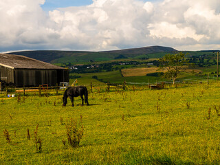 Horse on farm with farm buildings and Pendle Hill in Background. This farm is on the edge of Burnley in Lancashire