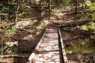 Obraz premium A morning walk along a nature trail and wooden footbridge that crosses over a small stream on a Autumn day. People like to hike these trails at Mother Neff State Park Texas