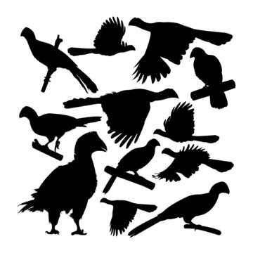 Violet turaco bird animal silhouettes. Good use for symbol, logo,  icon, mascot, sign, or any design you want.